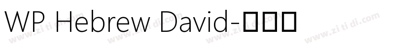WP Hebrew David字体转换